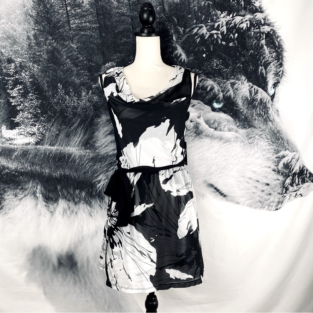 Express | Graphic Blouson Dress | XS